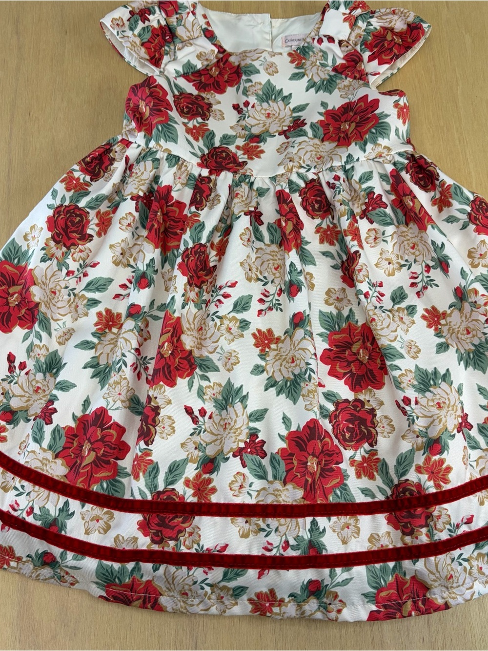 Catherine Malandrino Girls Floral Dress Sz 5 Velvet Trim Holiday Party